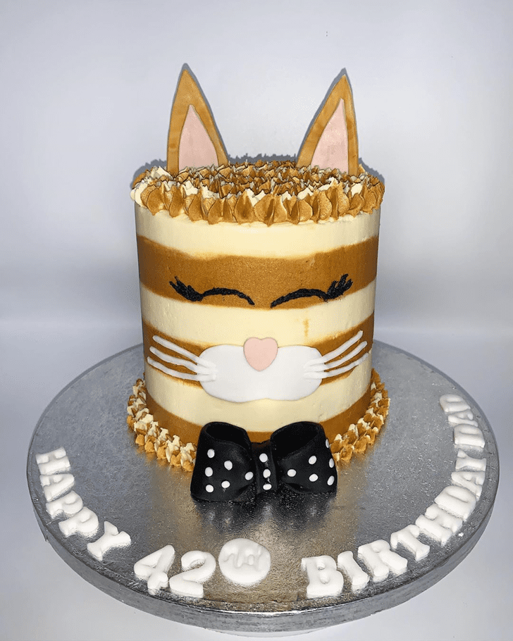 Handsome Cat Cake