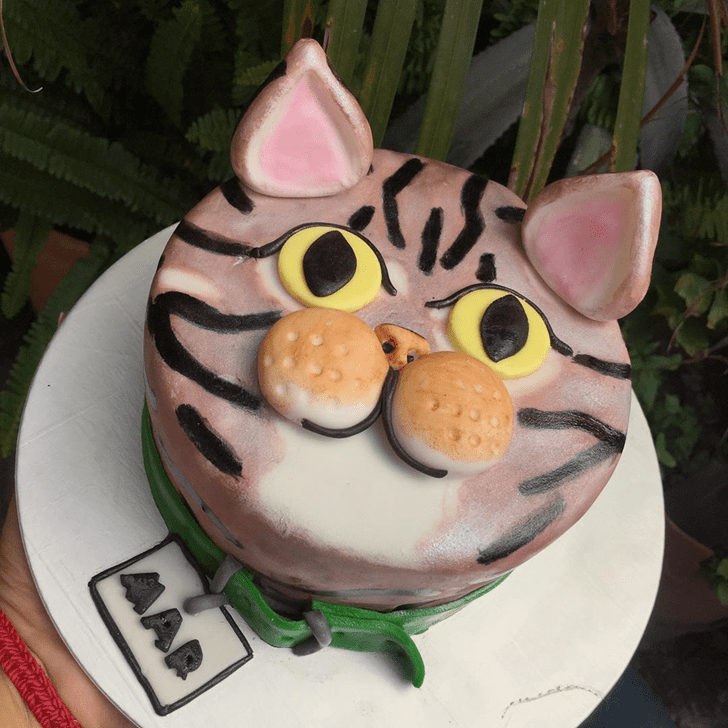 Refined Cat Cake