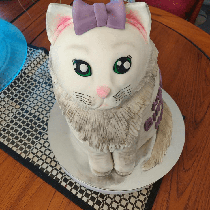 Slightly Cat Cake