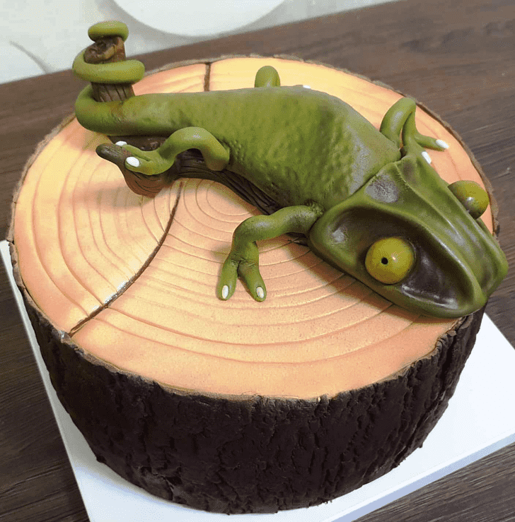Alluring Chameleon Cake