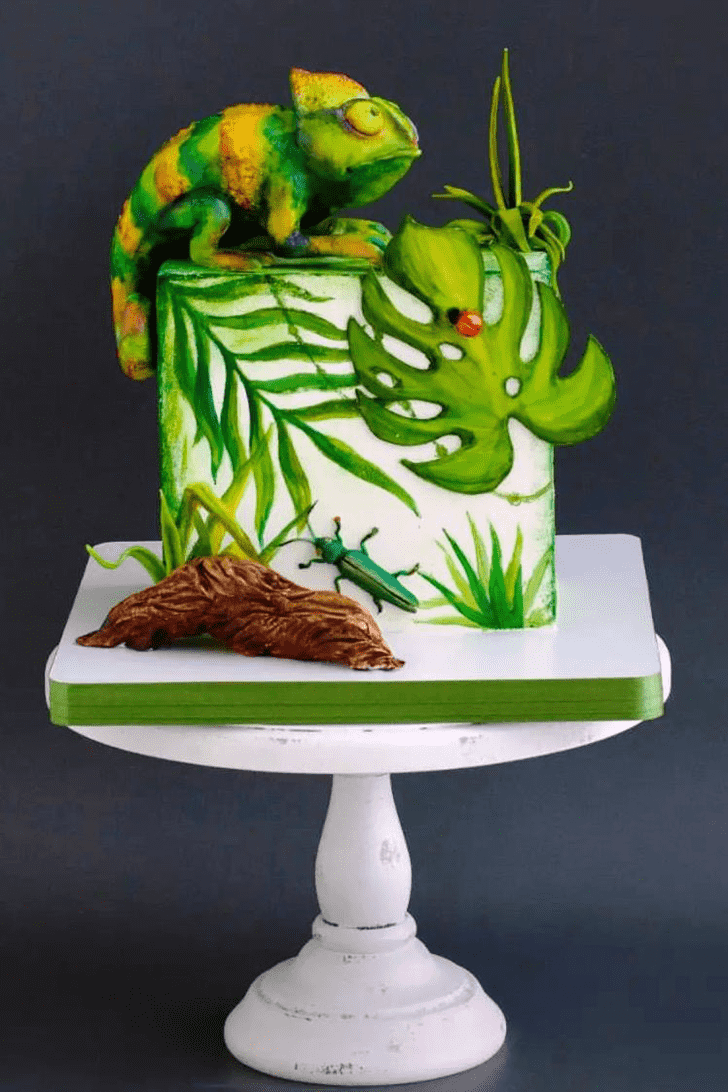 Appealing Chameleon Cake