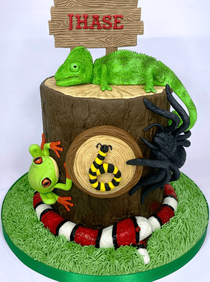 Charming Chameleon Cake