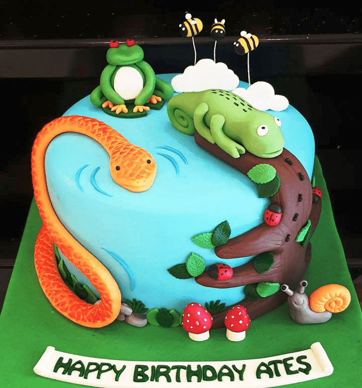 Dazzling Chameleon Cake