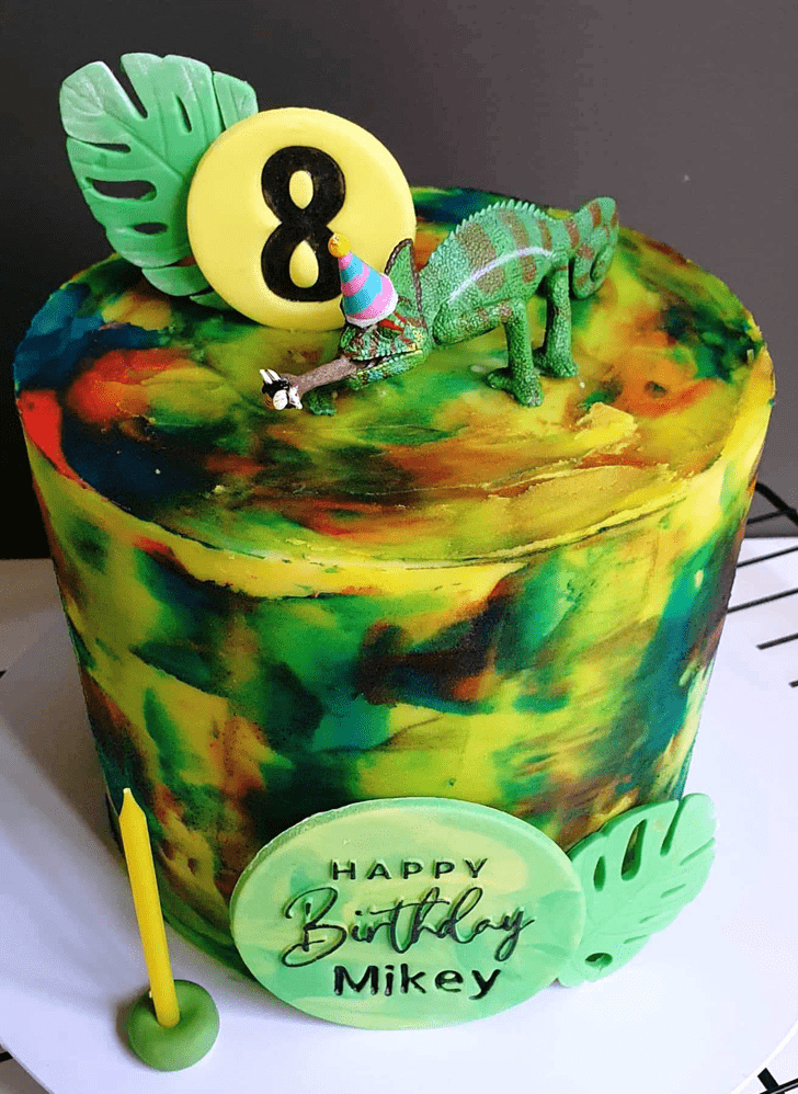 Delicate Chameleon Cake