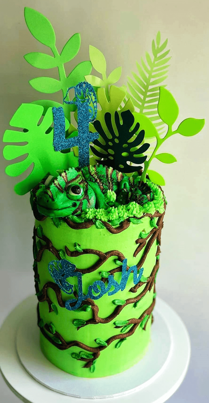 Divine Chameleon Cake