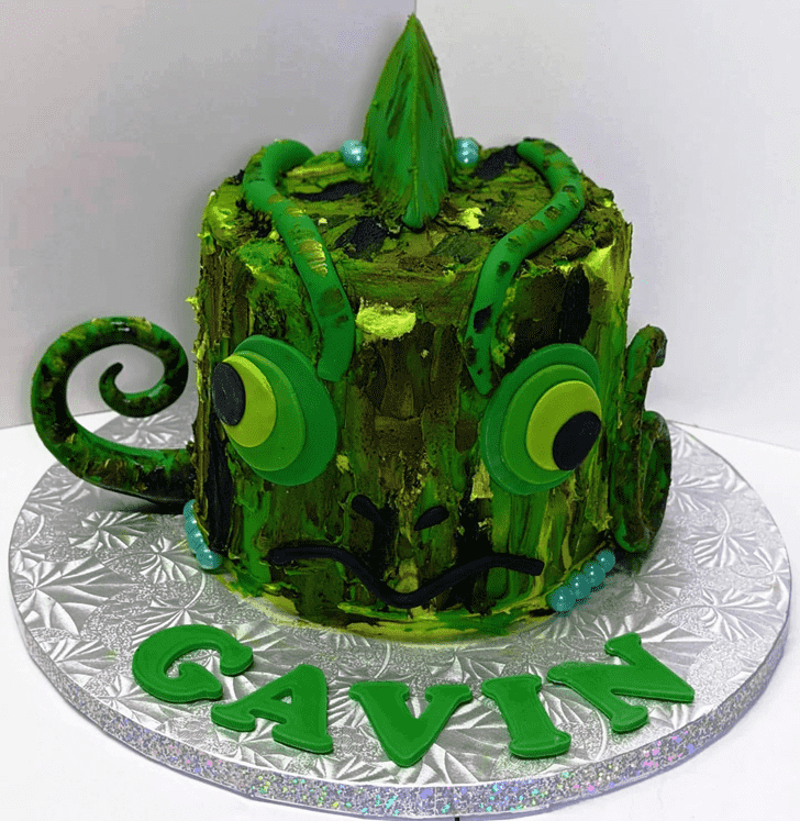 Excellent Chameleon Cake