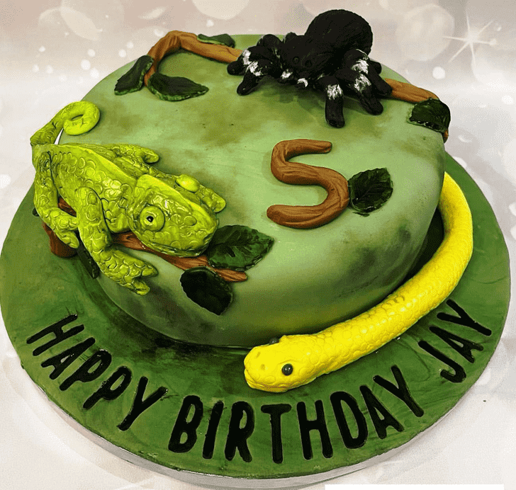 Fascinating Chameleon Cake