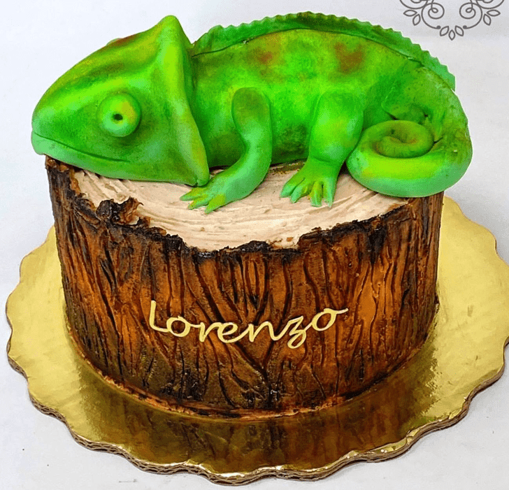 Ideal Chameleon Cake