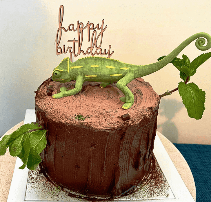 Marvelous Chameleon Cake