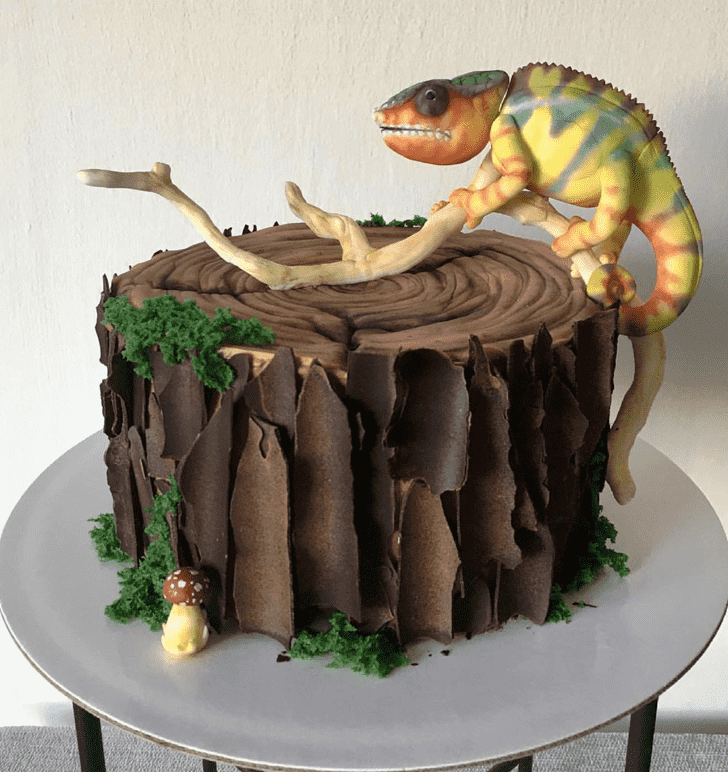 Mesmeric Chameleon Cake