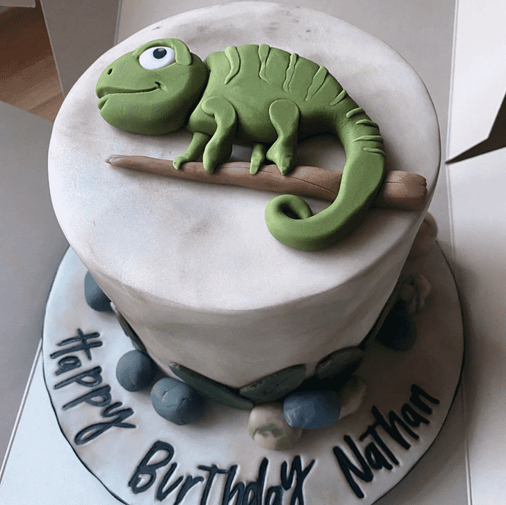 Nice Chameleon Cake