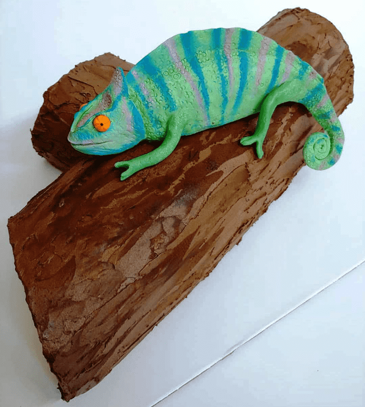 Pretty Chameleon Cake