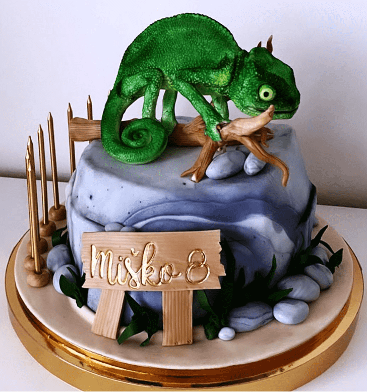 Refined Chameleon Cake