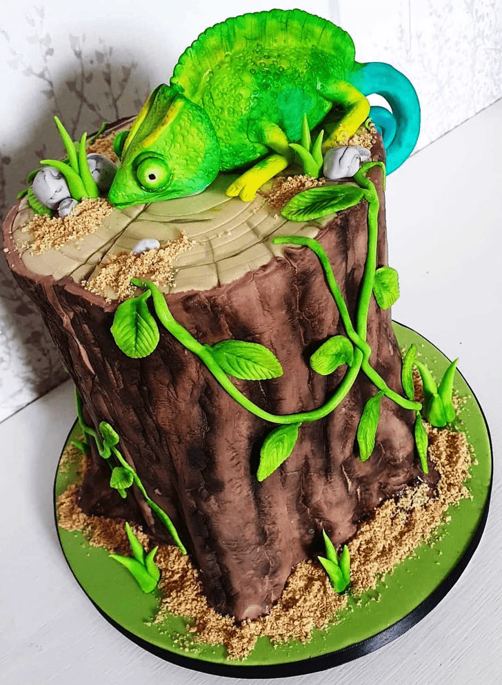 Resplendent Chameleon Cake
