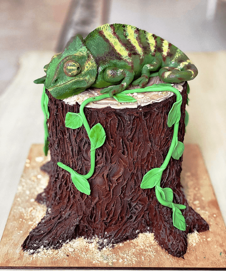 Slightly Chameleon Cake