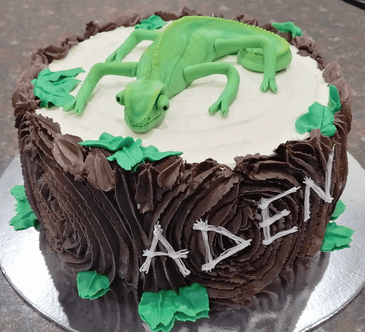 Stunning Chameleon Cake