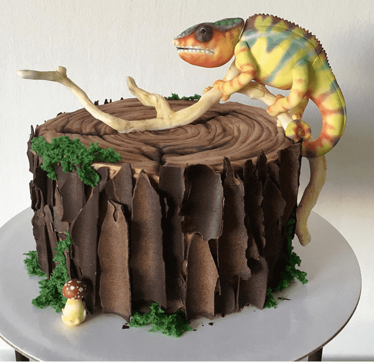 Superb Chameleon Cake