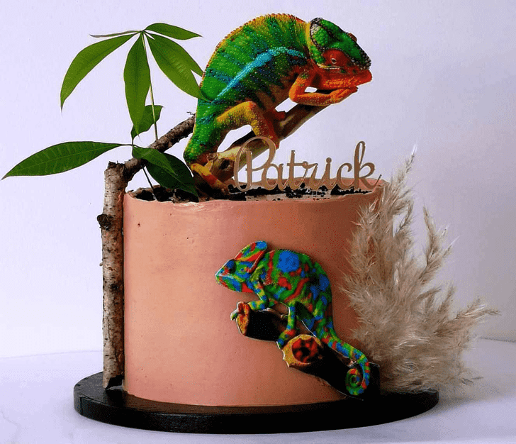 Wonderful Chameleon Cake Design