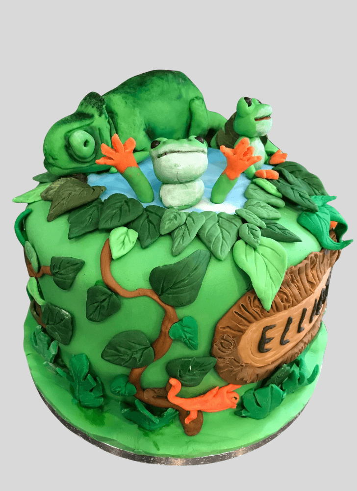 Enticing Chameleon Cake