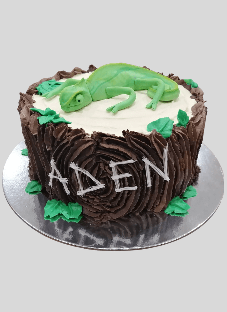 Exquisite Chameleon Cake