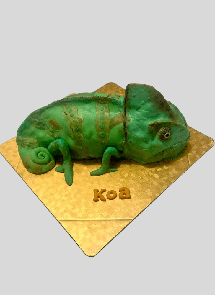 Fine Chameleon Cake