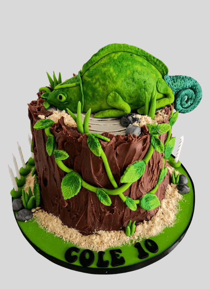 Grand Chameleon Cake