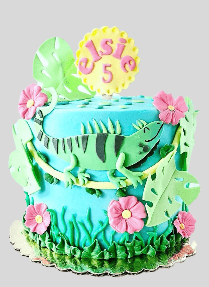 Ideal Chameleon Cake