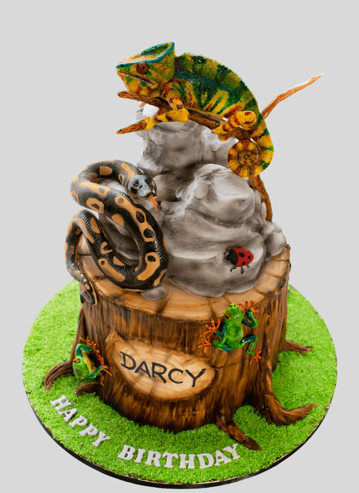 Pleasing Chameleon Cake