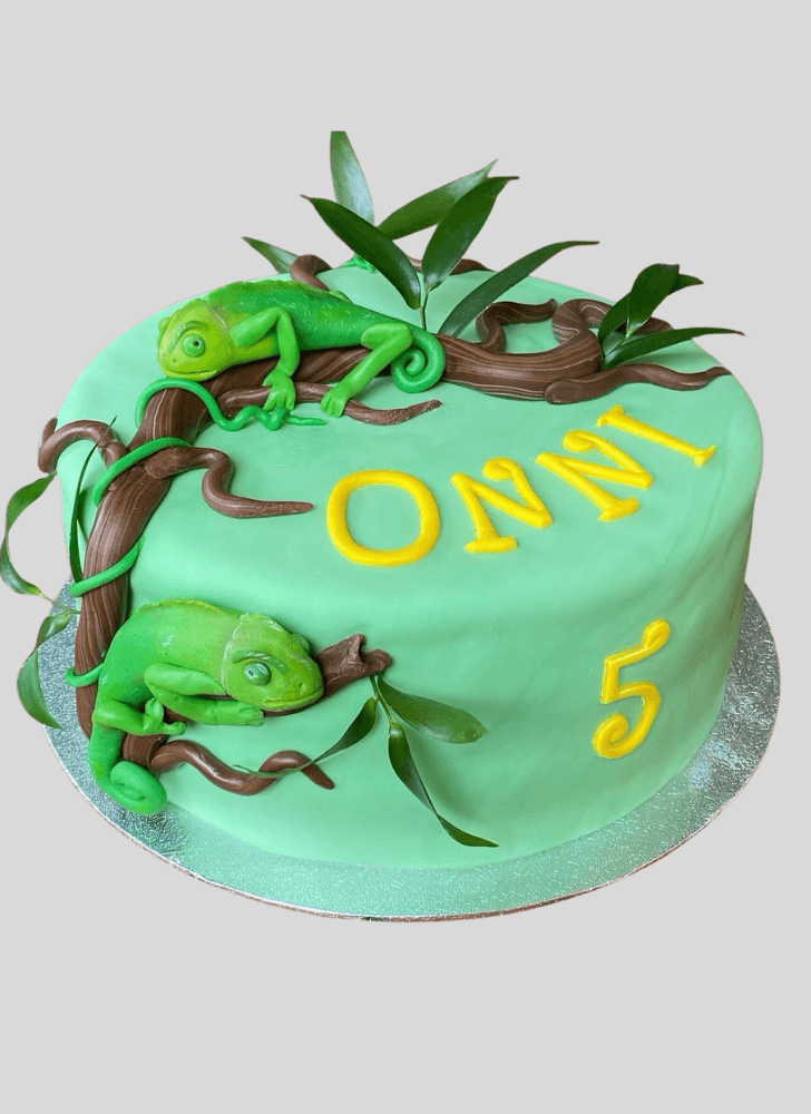Resplendent Chameleon Cake