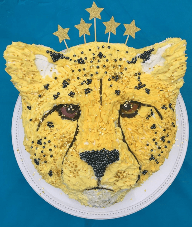 Excellent Cheetah Cake