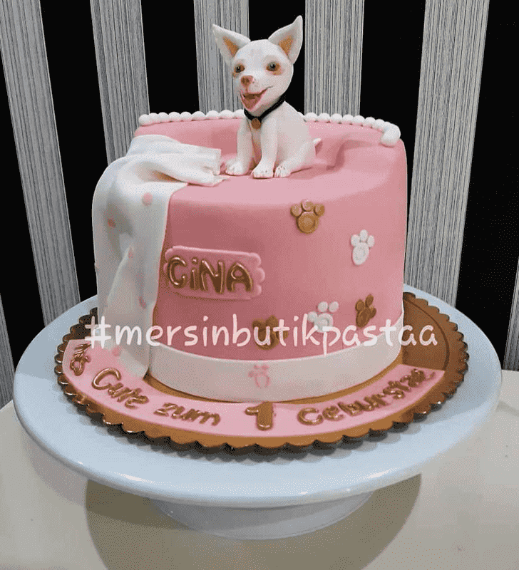 Dazzling Chihuahua Cake