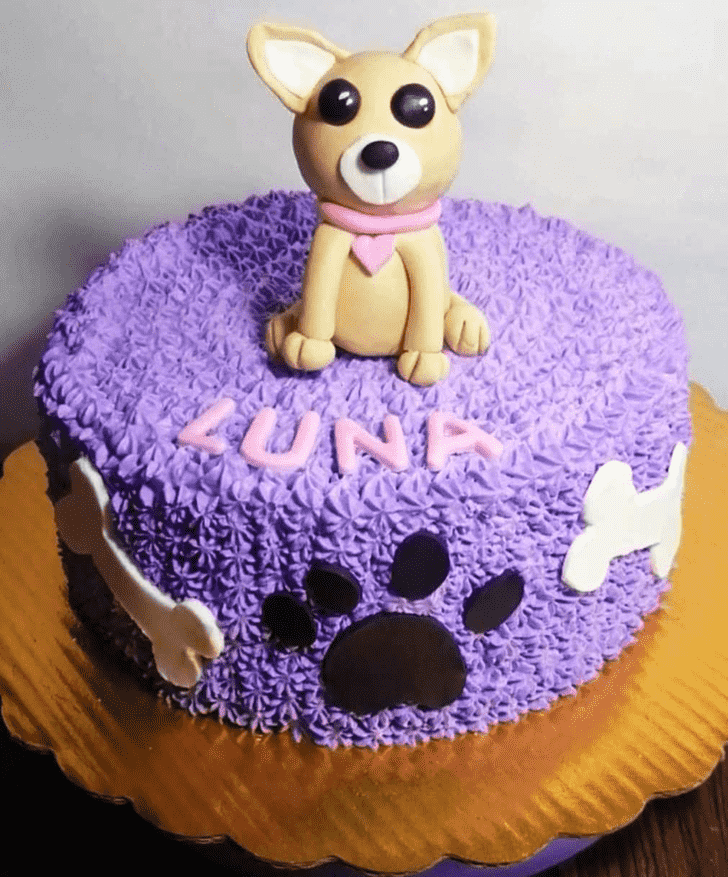 Excellent Chihuahua Cake