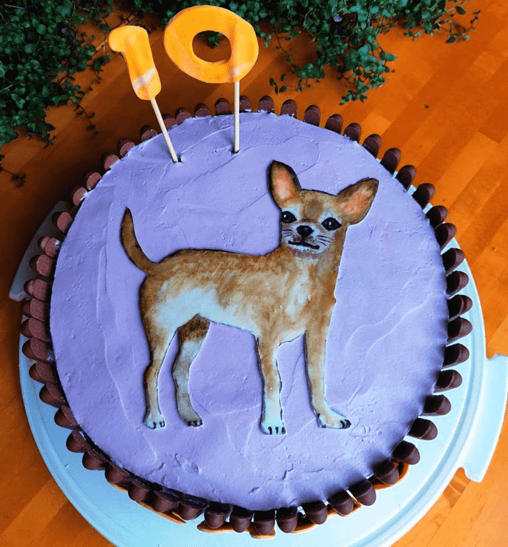 Fascinating Chihuahua Cake
