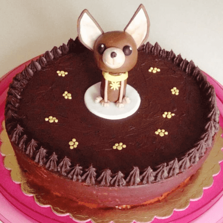 Lovely Chihuahua Cake Design