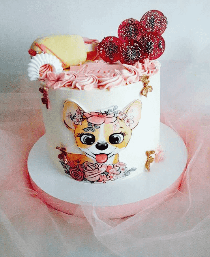 Wonderful Chihuahua Cake Design