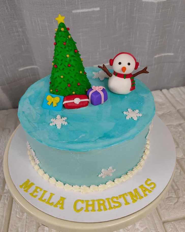 Gorgeous Christmas Cake