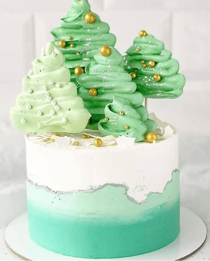 Slightly Christmas Cake