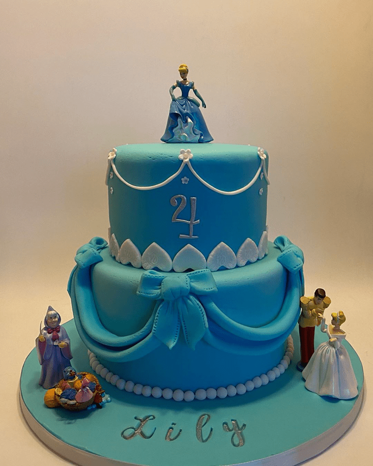 Magnetic Cinderella Cake