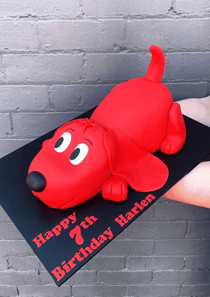 Magnetic Clifford Cake