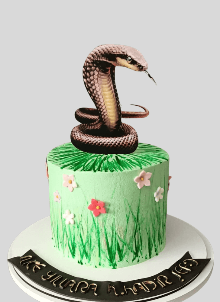 Enticing Cobra Cake