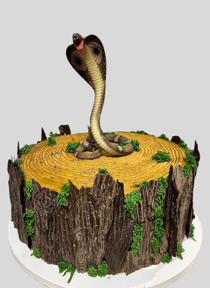 Fine Cobra Cake
