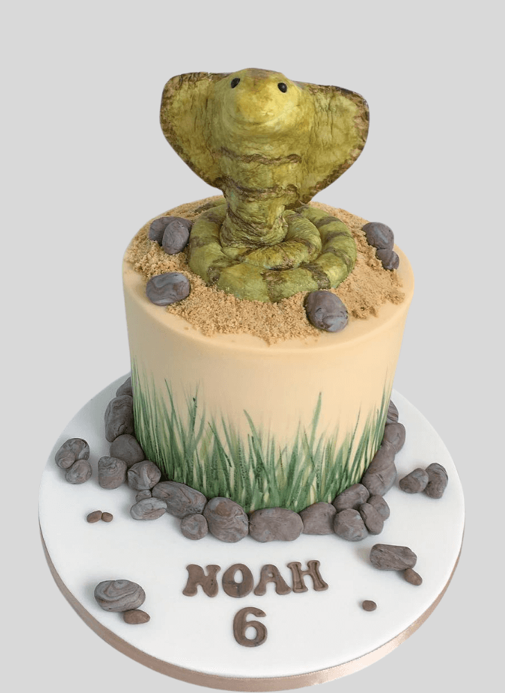 Gorgeous Cobra Cake