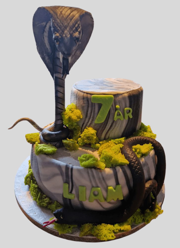 Magnificent Cobra Cake