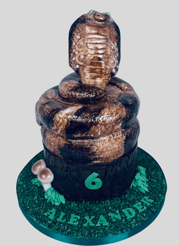 Mesmeric Cobra Cake