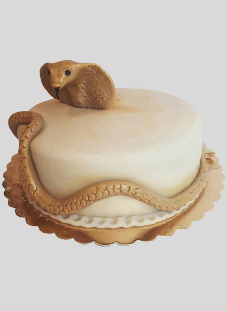 Nice Cobra Cake