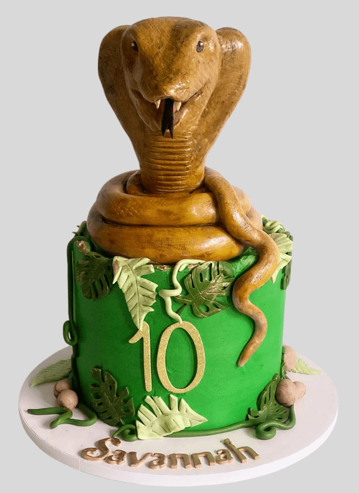 Pretty Cobra Cake