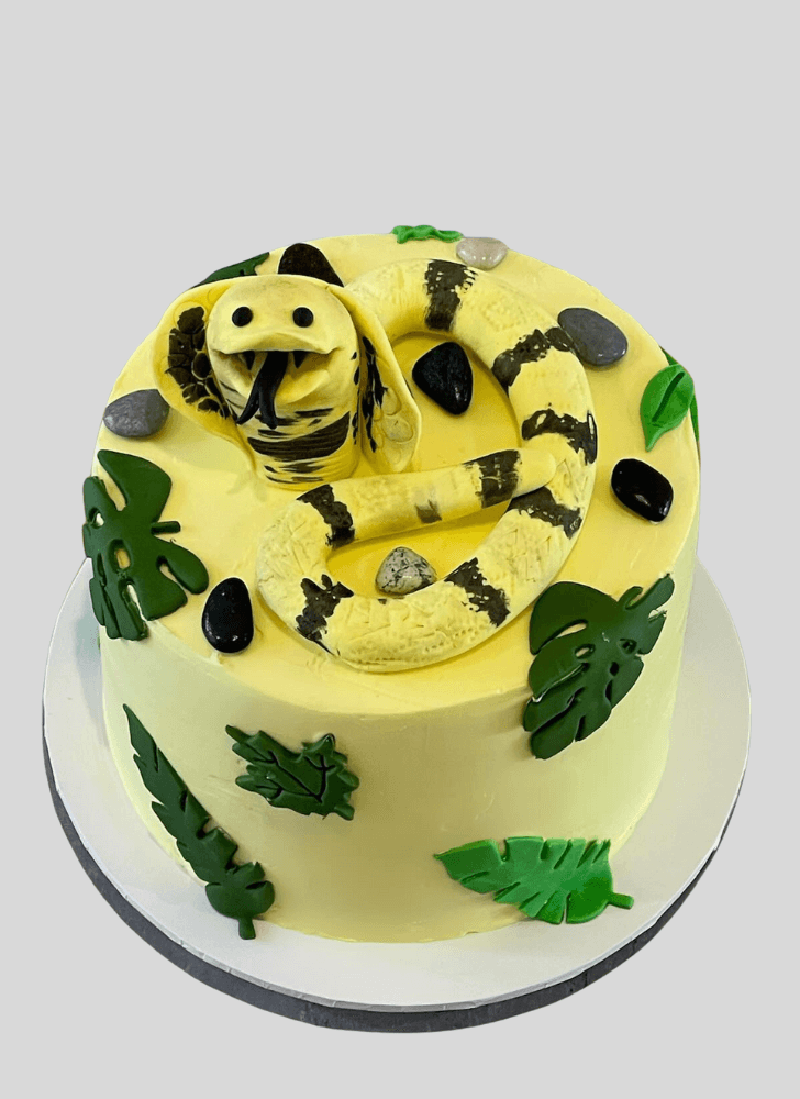 Refined Cobra Cake
