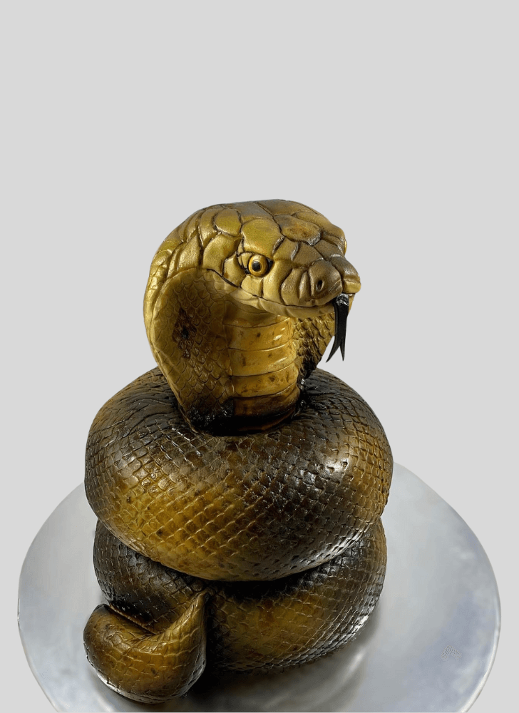 Shapely Cobra Cake