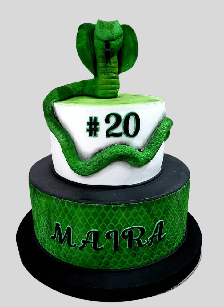 Slightly Cobra Cake
