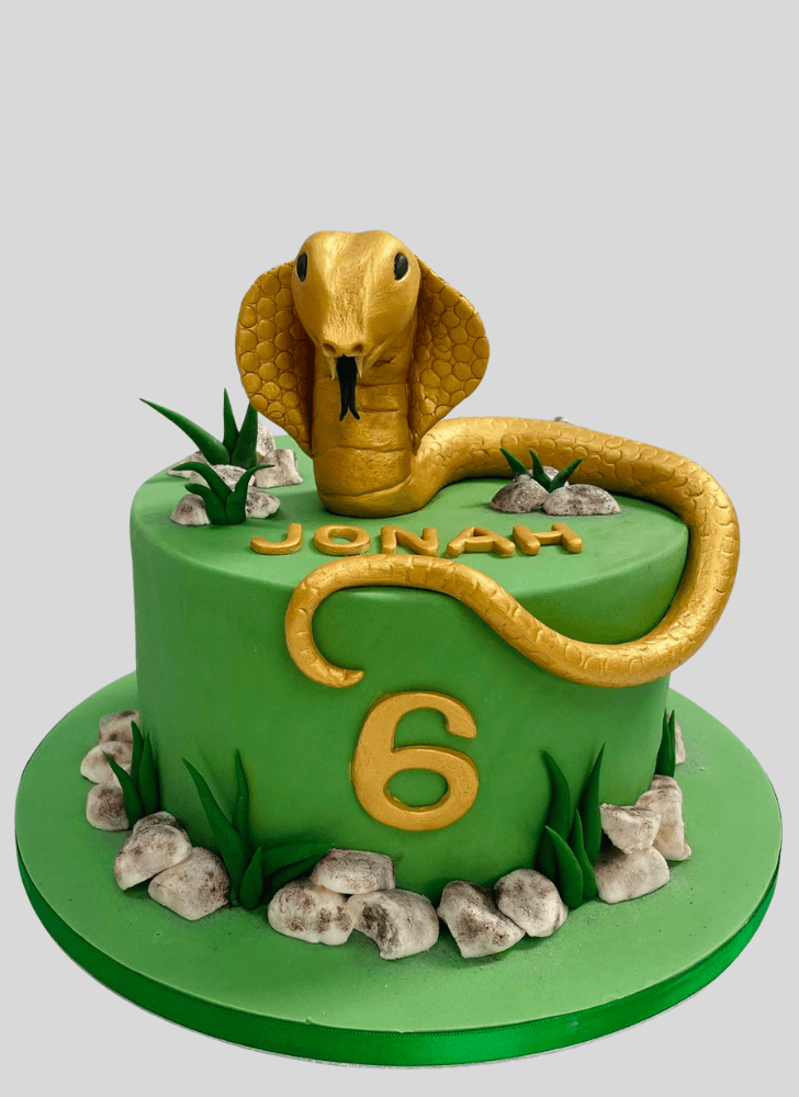 Splendid Cobra Cake
